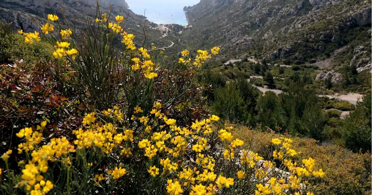 Sécheresse en Provence : le taux d'humidité des sols repasse au-dessus des normales