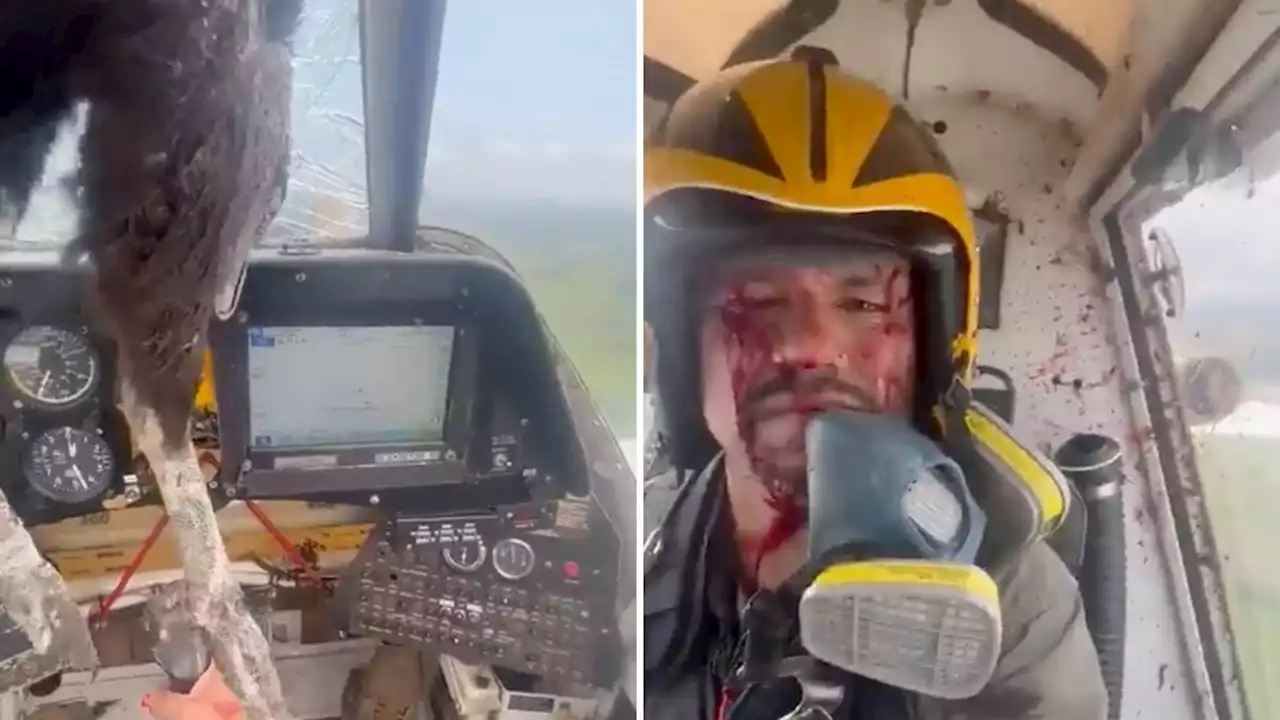 Moment huge bird smashes through plane’s windscreen - but pilot keeps calm and carries on