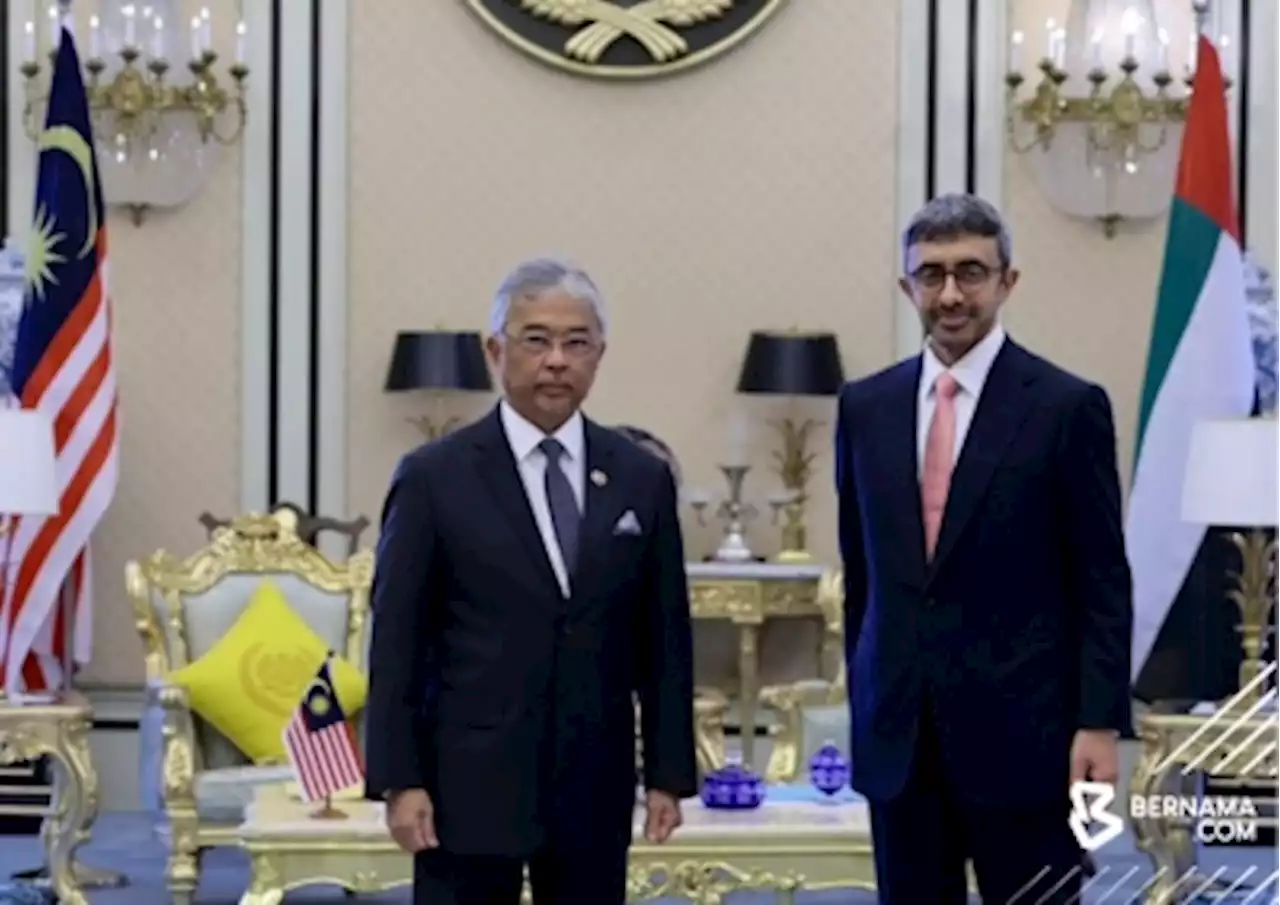 Agong grants audience to UAE foreign minister at Istana Negara