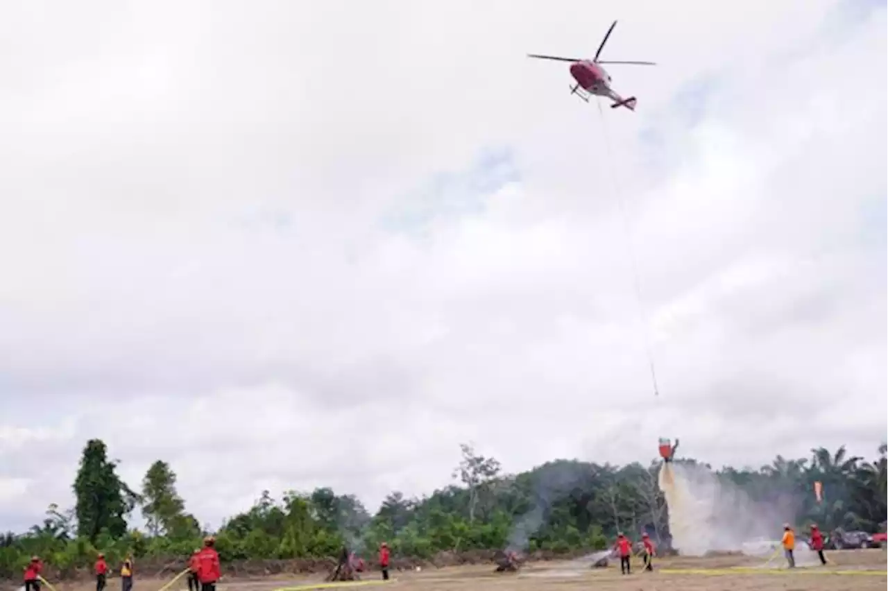 Cegah Karhutla, Pemkab Muba Sisir Kawasan Rawan