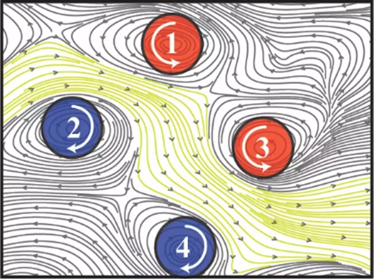 Scientists discover spiral-shaped signals that organize brain activity