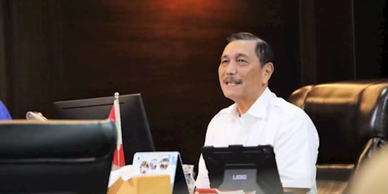 Luhut Minta ke Bos TikTok: Jangan Masukkan Konten Politik | merdeka.com