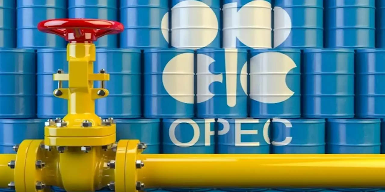 OPEC projects Nigeria’s economy recovery in coming months