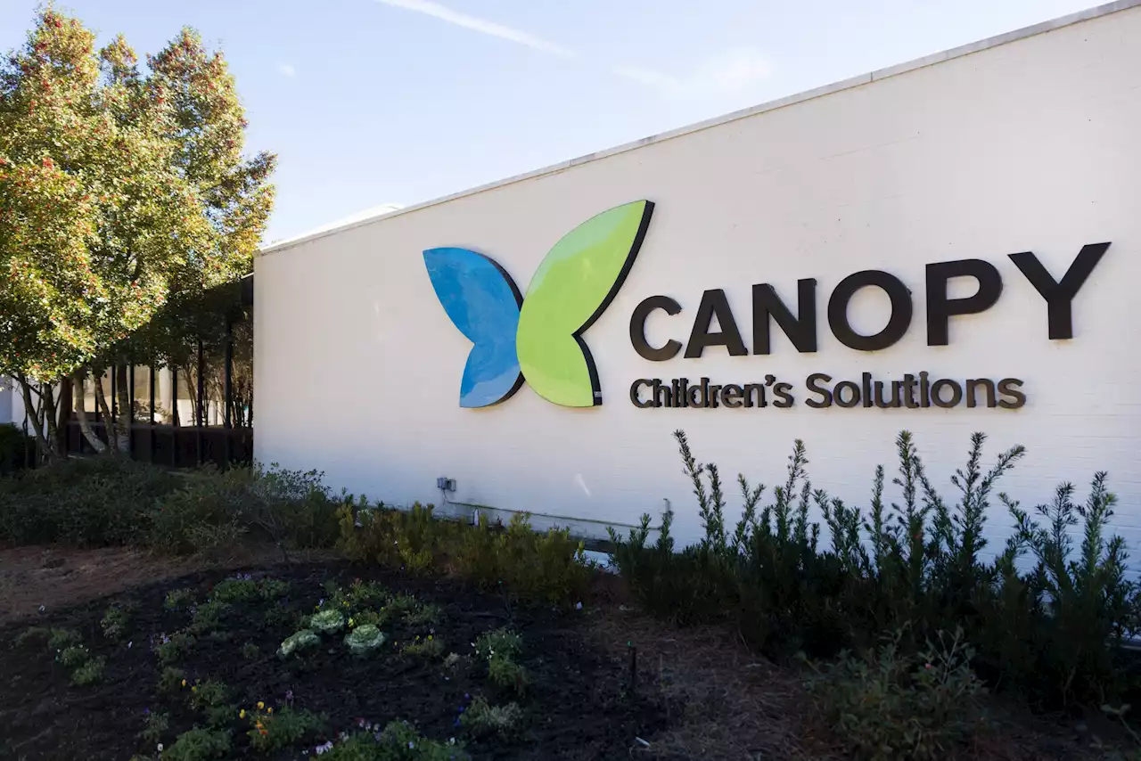 The Pulse: The Canopy's Children Mental Health Summit