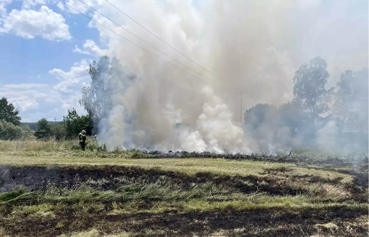 Hohe Trockenheit: Bei Roding geriet eine große Freifläche in Brand