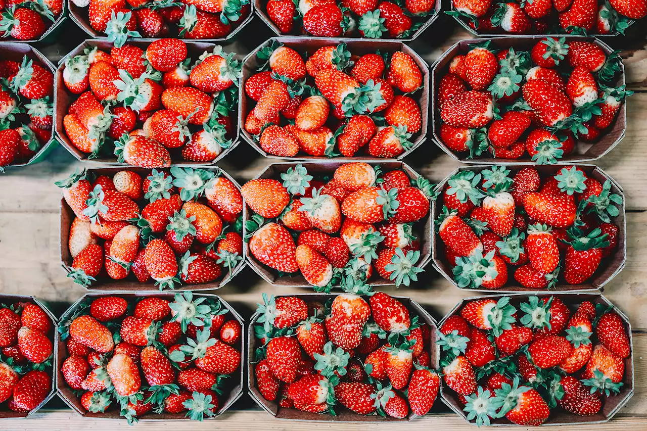 2 big strawberry festivals are coming to the Chicago suburbs this month