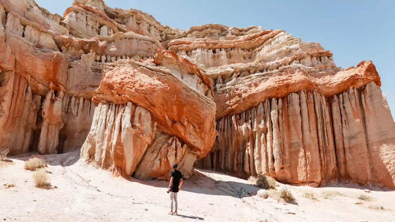 California State Parks Week is here to remind us to embrace uplifting adventure