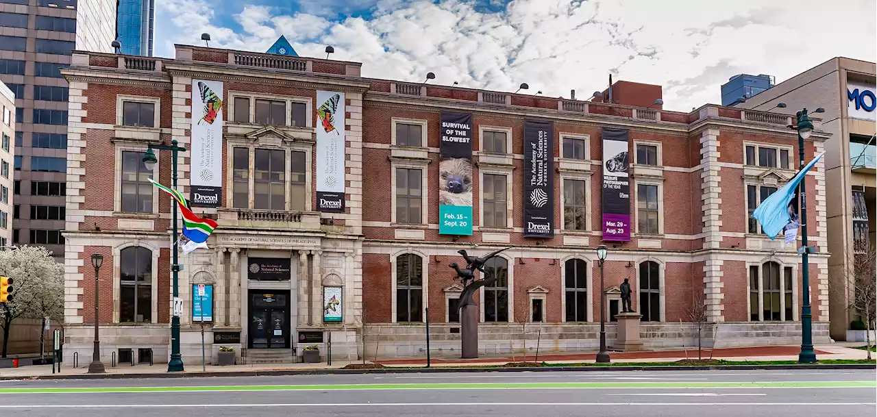 Visit these Philly museums for free during Wawa Welcome America