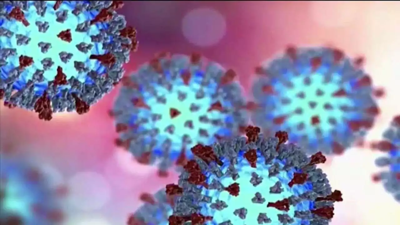 San Diego County Announces Second Hepatitis A Death