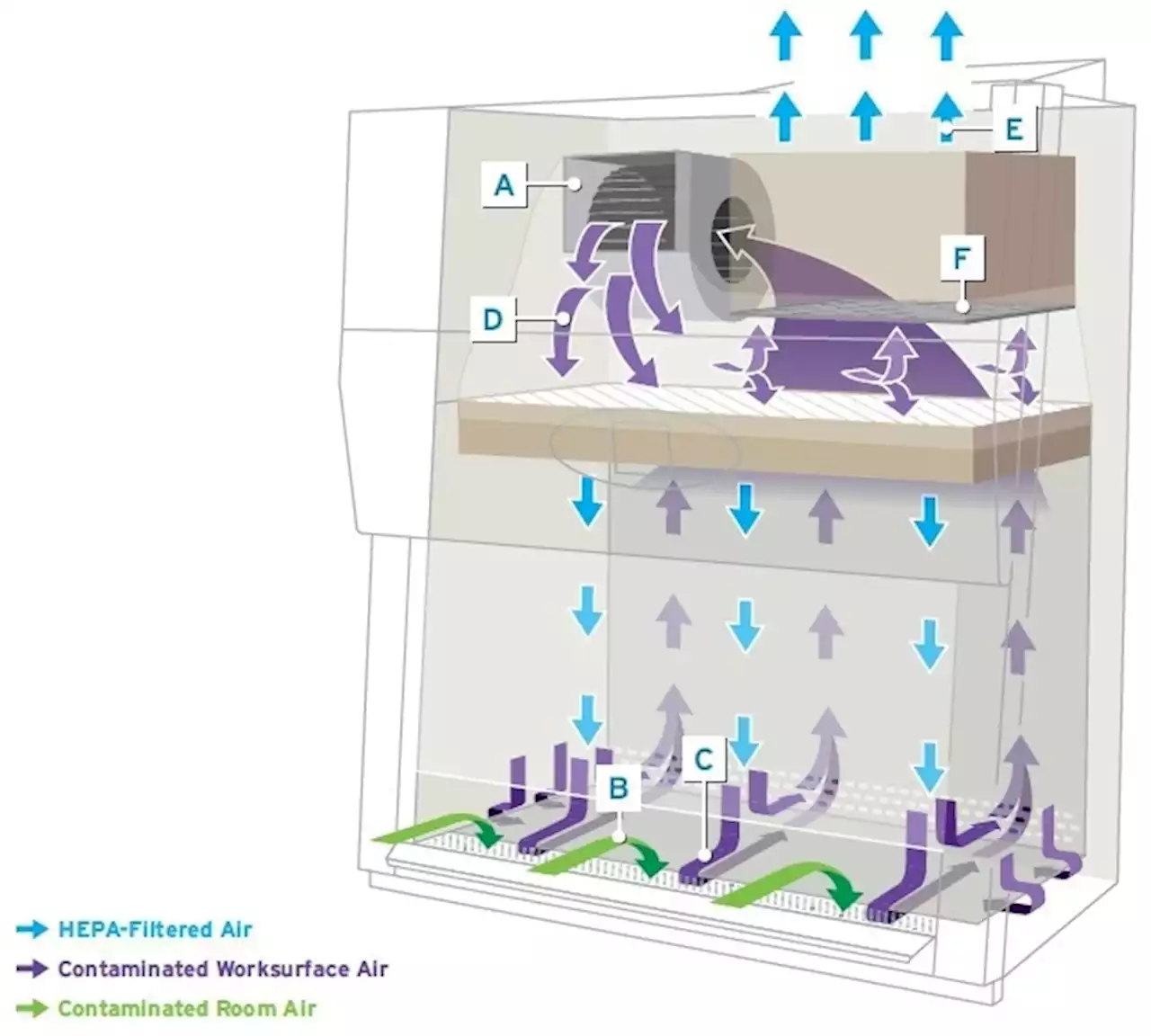 Biosafety Cabinets: Single vs Dual Blower