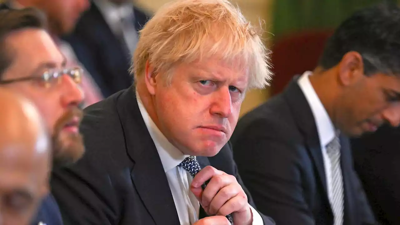 Johnson wittert 'politischen Mord' bei Partygate-Untersuchung