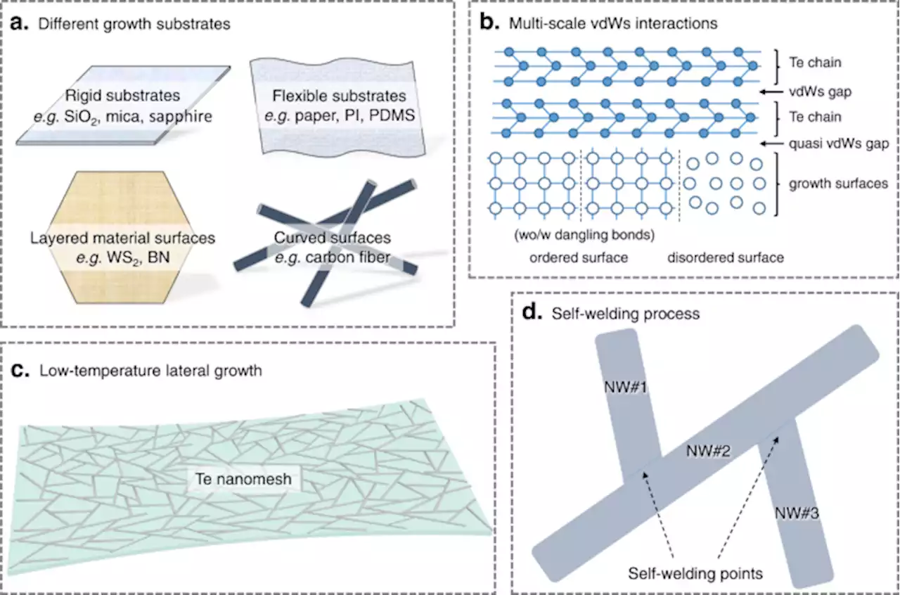 Van der Waals nanomesh electronics on arbitrary surfaces - Nature Communications