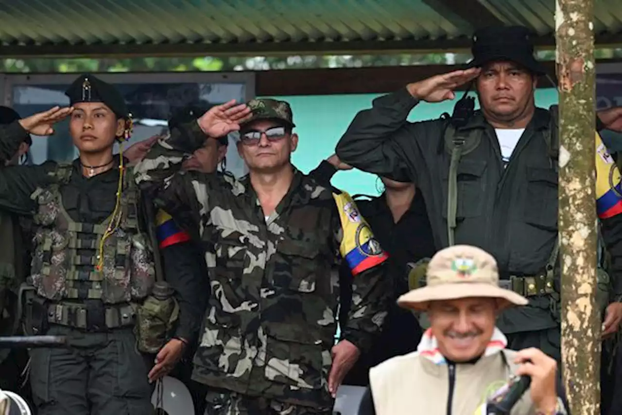 Disidencias Farc piden cacao al Gobierno; quieren restablecer cese al fuego nacional - Pulzo