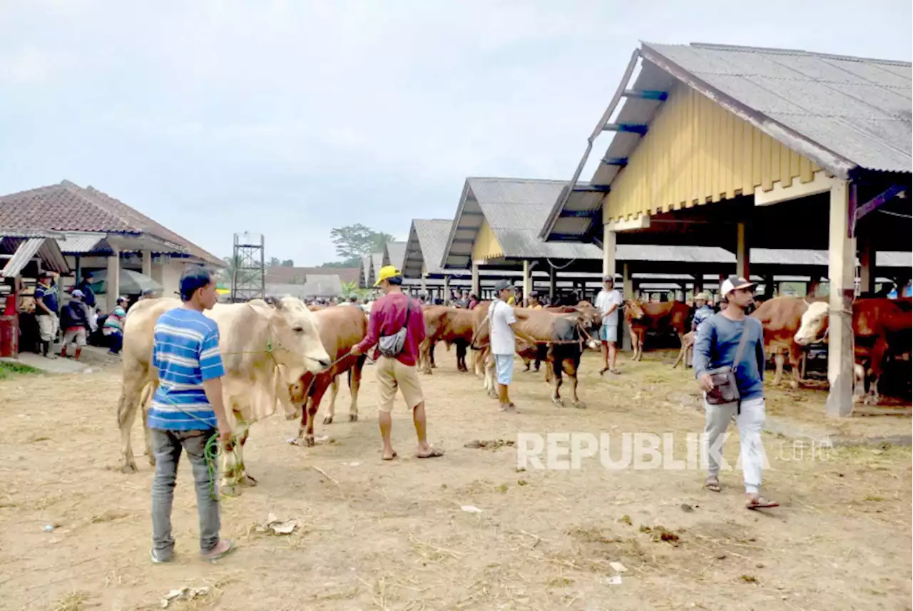 Mengapa Allah Memerintahkan Umat Islam Berkurban? |Republika Online