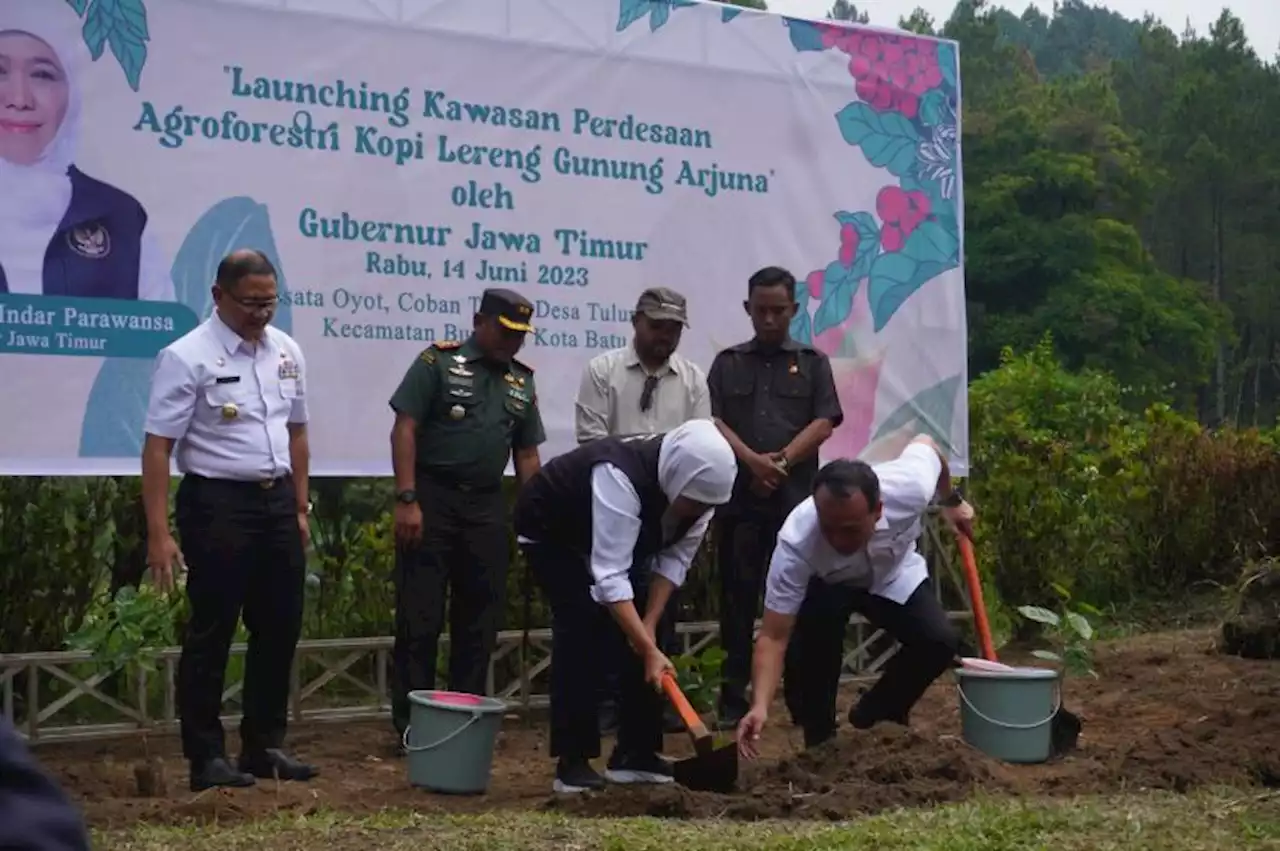 Pengembangan Agroforestri Kopi Lereng Gunung Arjuno Sasar Pasar Ekspor |Republika Online