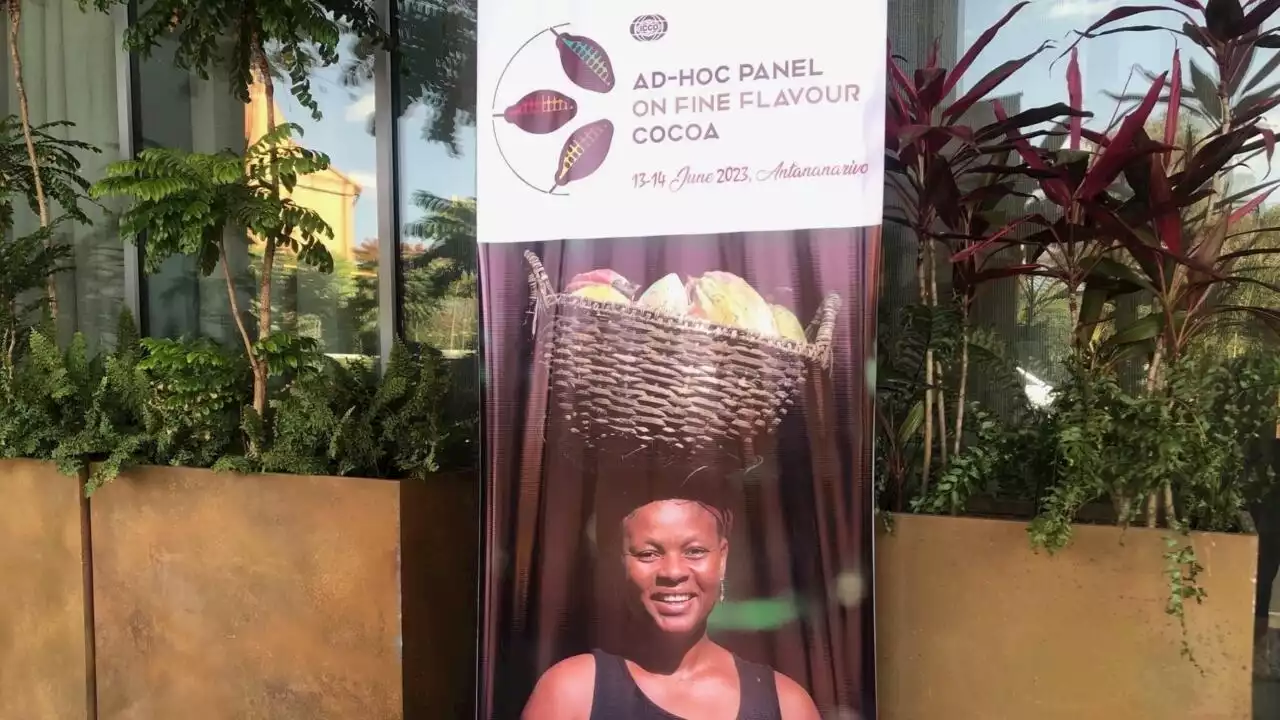 Madagascar: un panel analyse la candidature au label «cacao fin» de pays producteurs