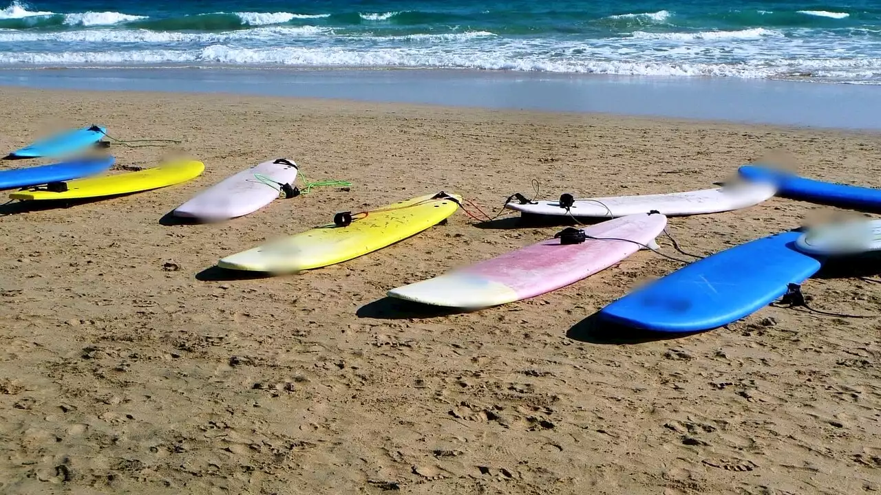 Dall'Uruguay ad Ardea: quaranta chili di cocaina nascosti nelle tavole da surf