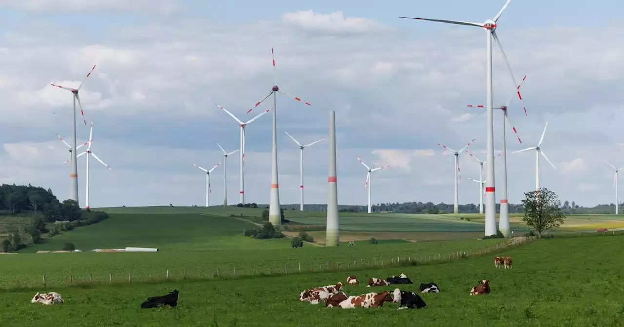 Studie zur Energiewende: So viele Windräder könnten in Ihrer Region gebaut werden