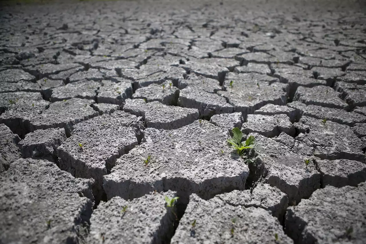 Sécheresse : quelles sont les régions dont le niveau des nappes phréatiques inquiète le plus ?