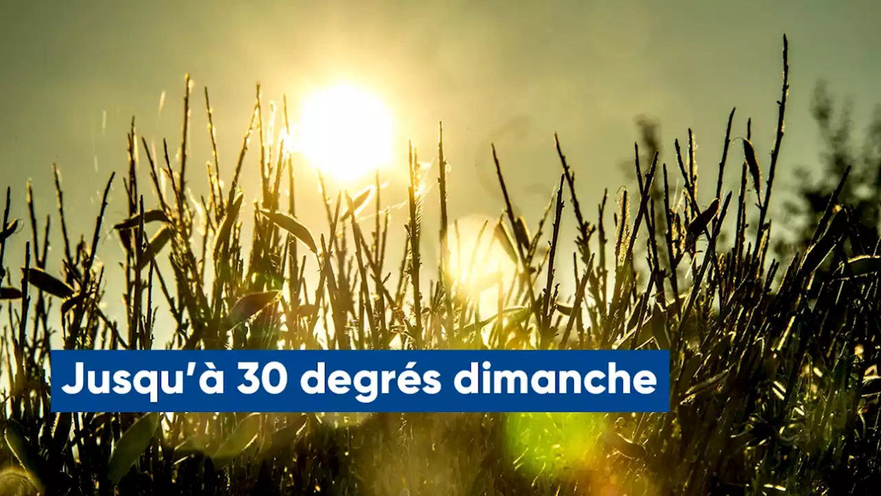 Prévisions météo: le temps reste assez chaud, voici quand le retour de la pluie est attendu