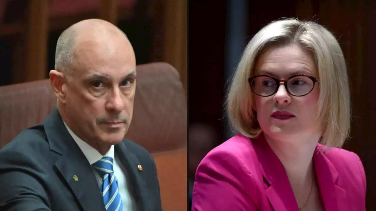 Former Liberal senator Amanda Stoker accuses David Van of inappropriate touching