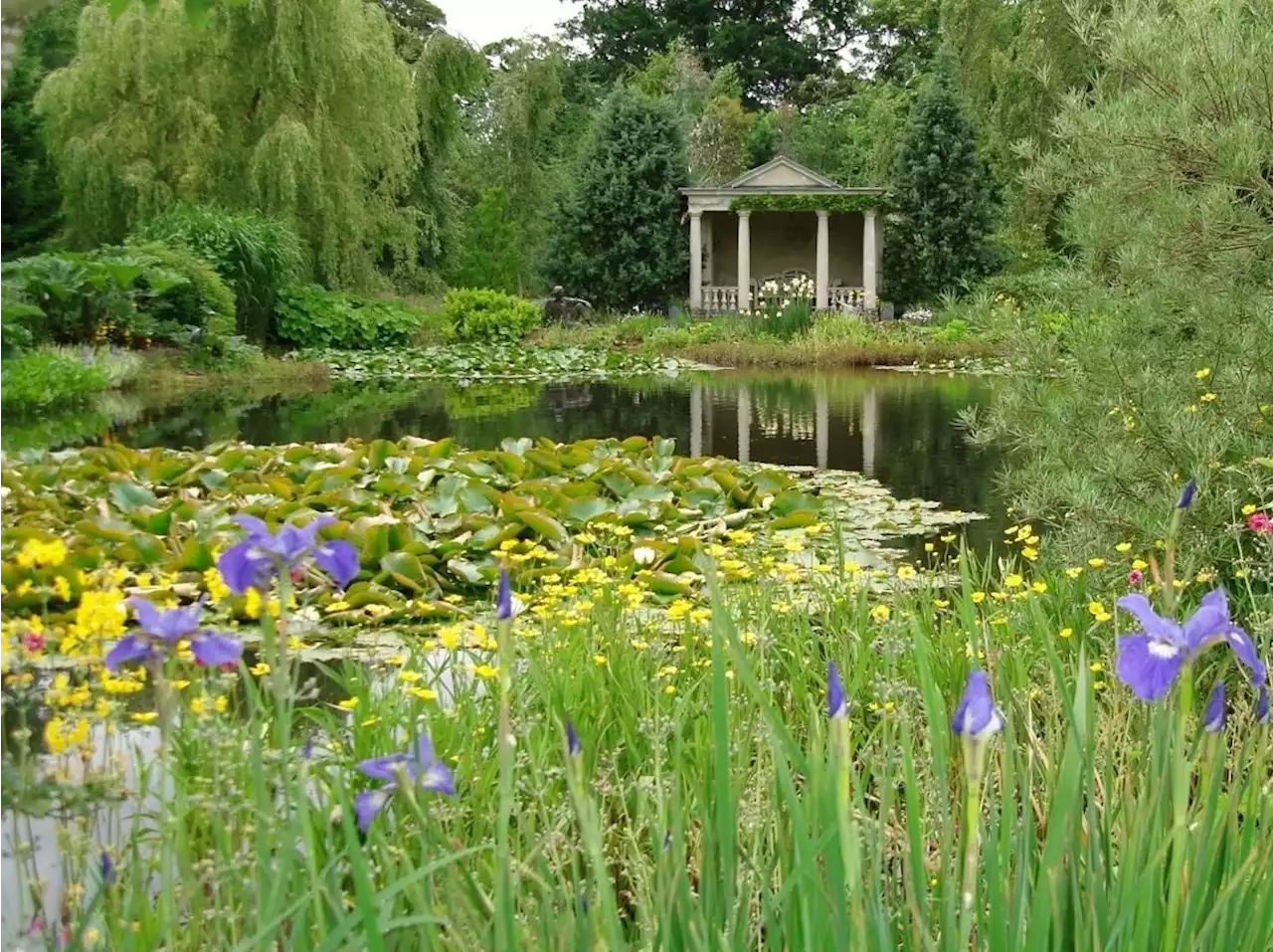 Spectacular Shropshire gardens set to open gates to visitors for fund