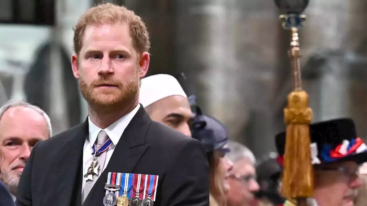 Harry slammed: 'You can’t be part of the royal family and hate UK'