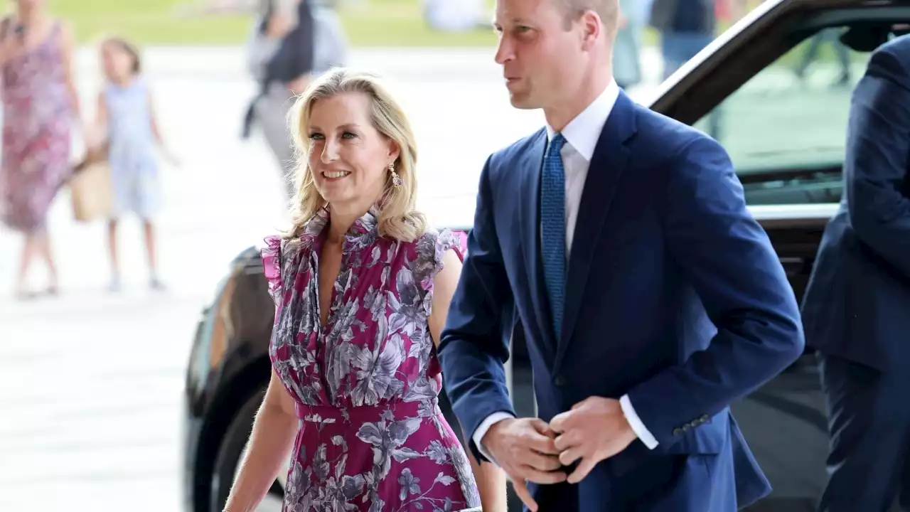 New royal power duo: Duchess Sophie and Prince William team up