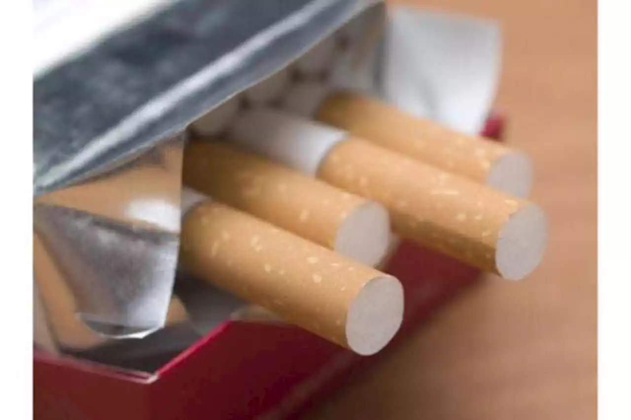 Tobacco Board aims for 60,000 licence applications by 2024