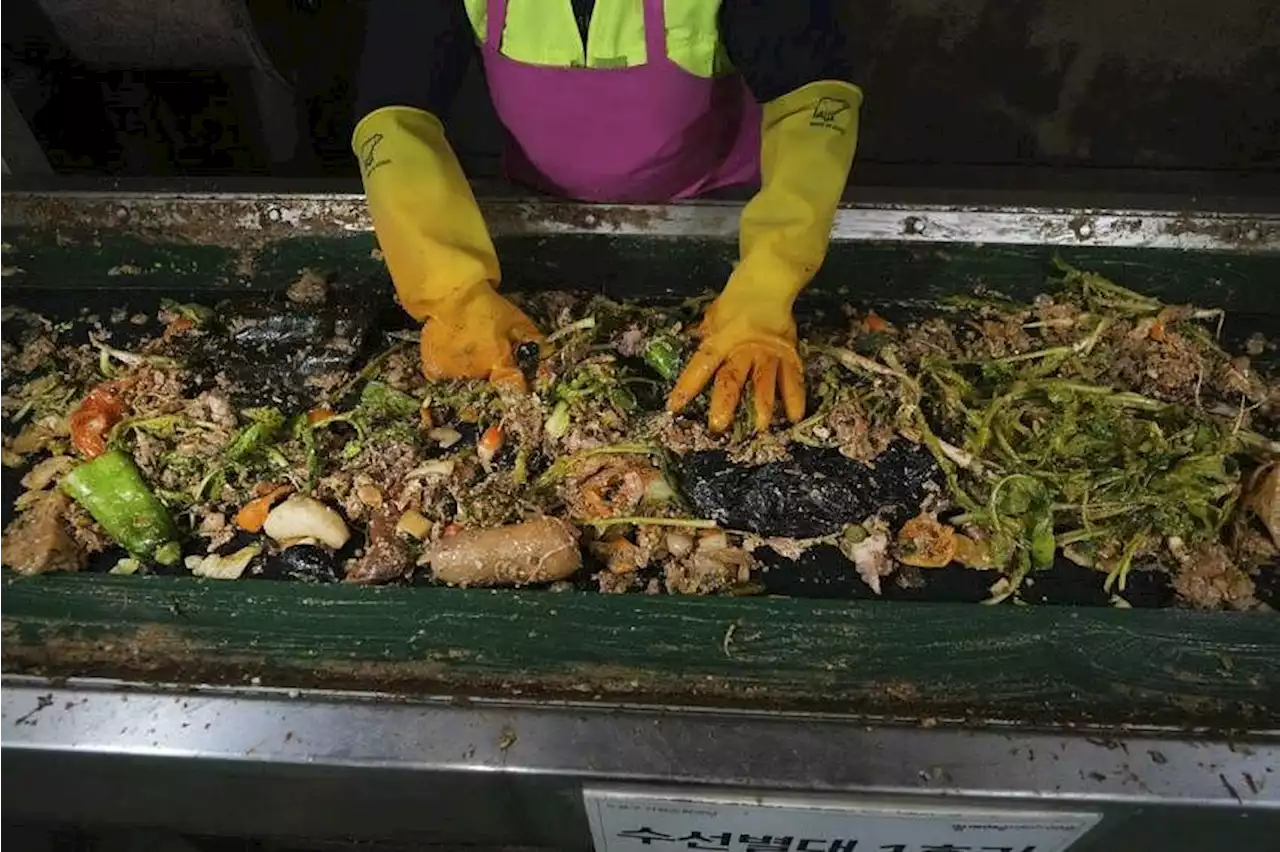 How South Korea puts its food scraps to good use