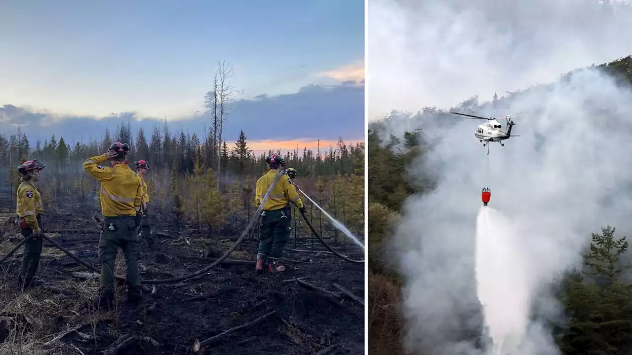 SVT:s meteorolog om brandrisken: ”Det är ett allvarligt läge”