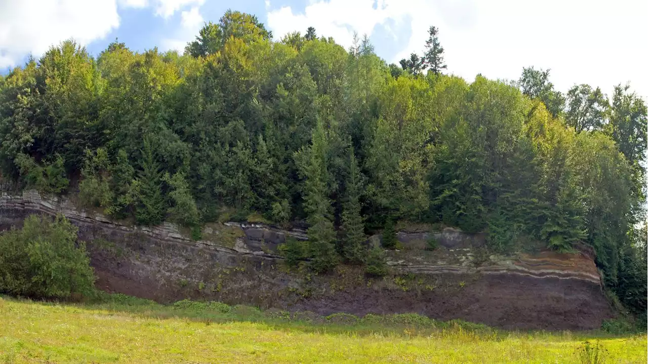 In einem Waldstück in der Vulkaneifel: Polizei findet Leiche eines Arztes aus Gerolstein