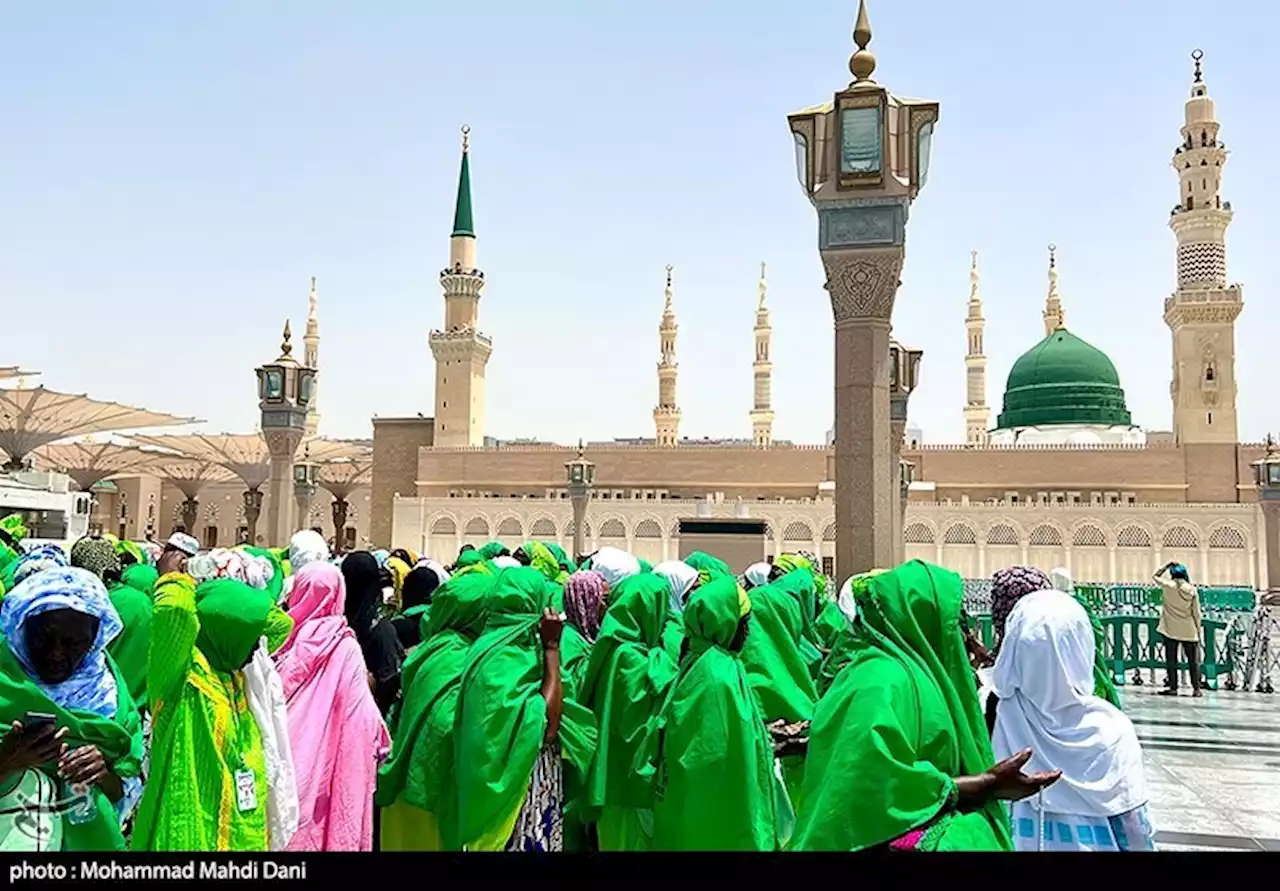 ملیت ها در حرم نبوی- عکس حج 1402 تسنیم | Tasnim