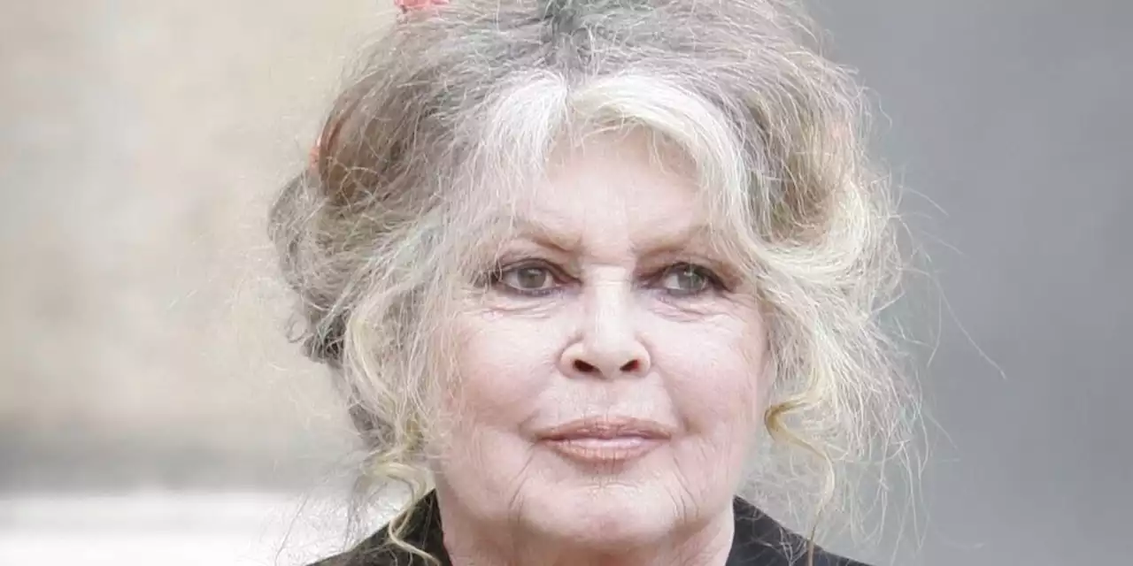 'La vie nous rend orpheline de nos amours' : Brigitte Bardot, 'anéantie de chagrin', annonce la mort de sa chienne Fripouille