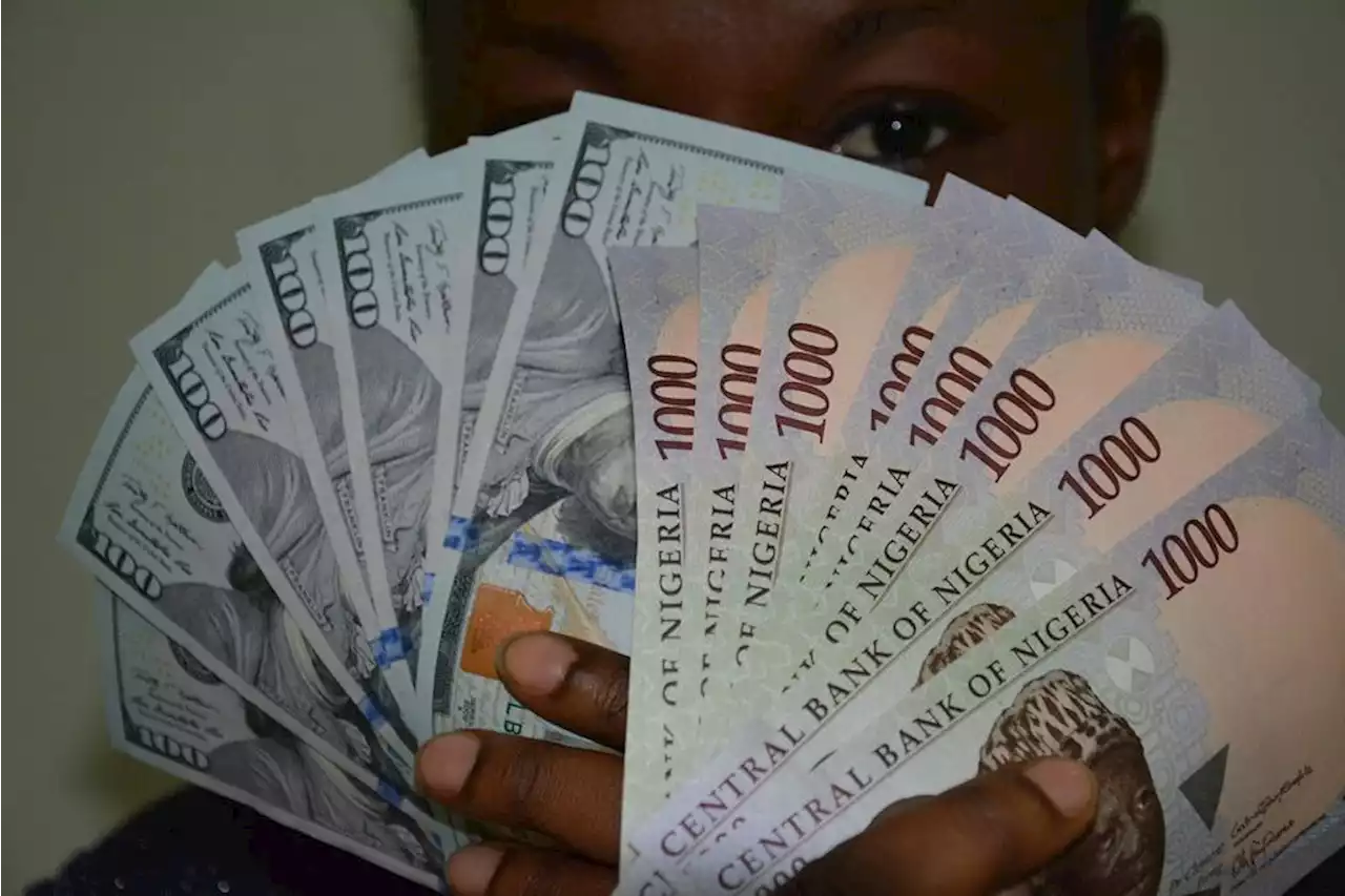 EXPLAINER: What does the naira float mean for you, your business? | TheCable