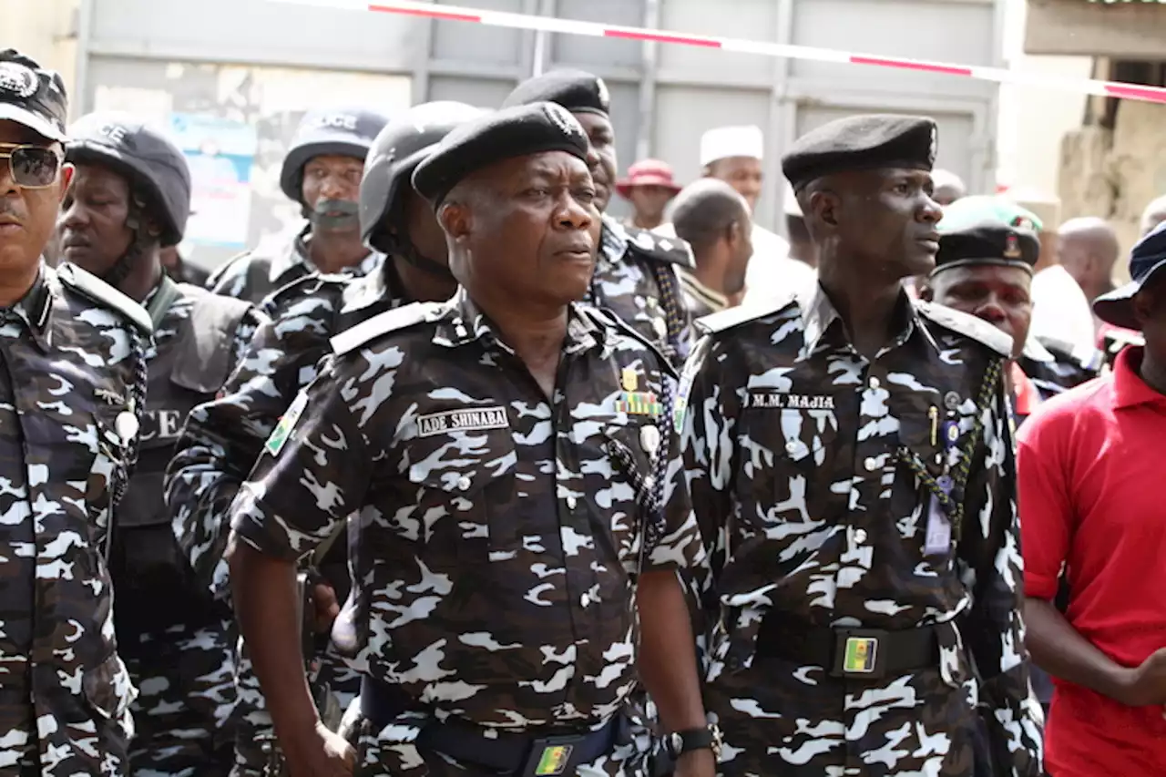 Police arrest 12 illegal immigrants in Kano | TheCable