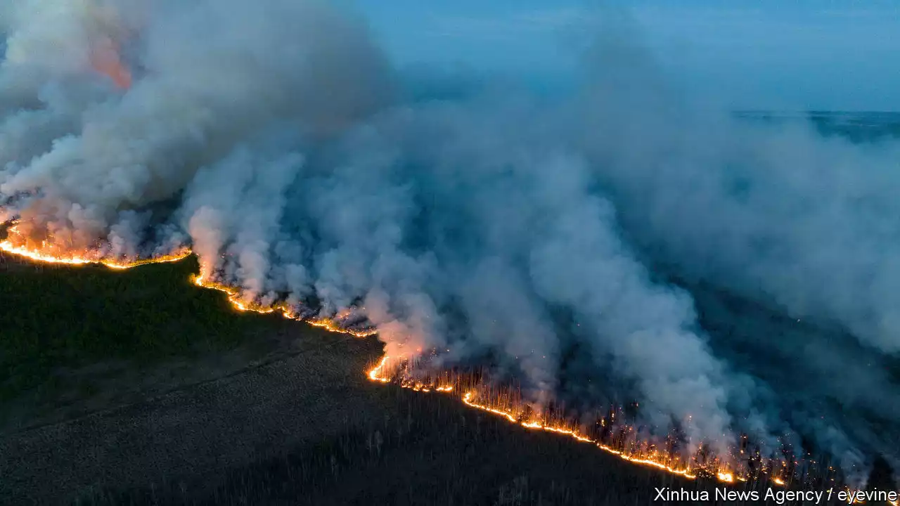 Canada’s wildfires have burnt an area 16 times larger than normal