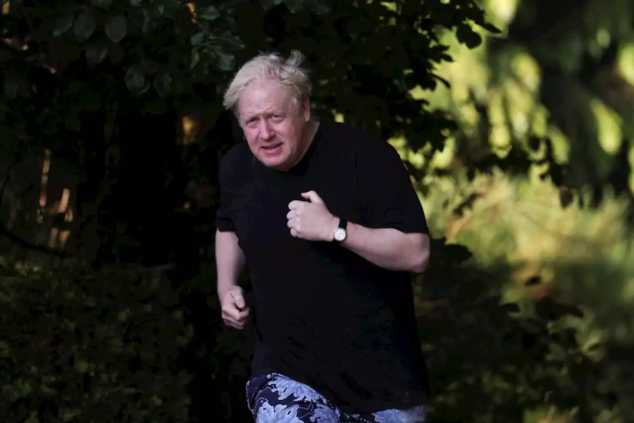 Boris Johnson should never be an MP again - the sanctity of parliament depends on it