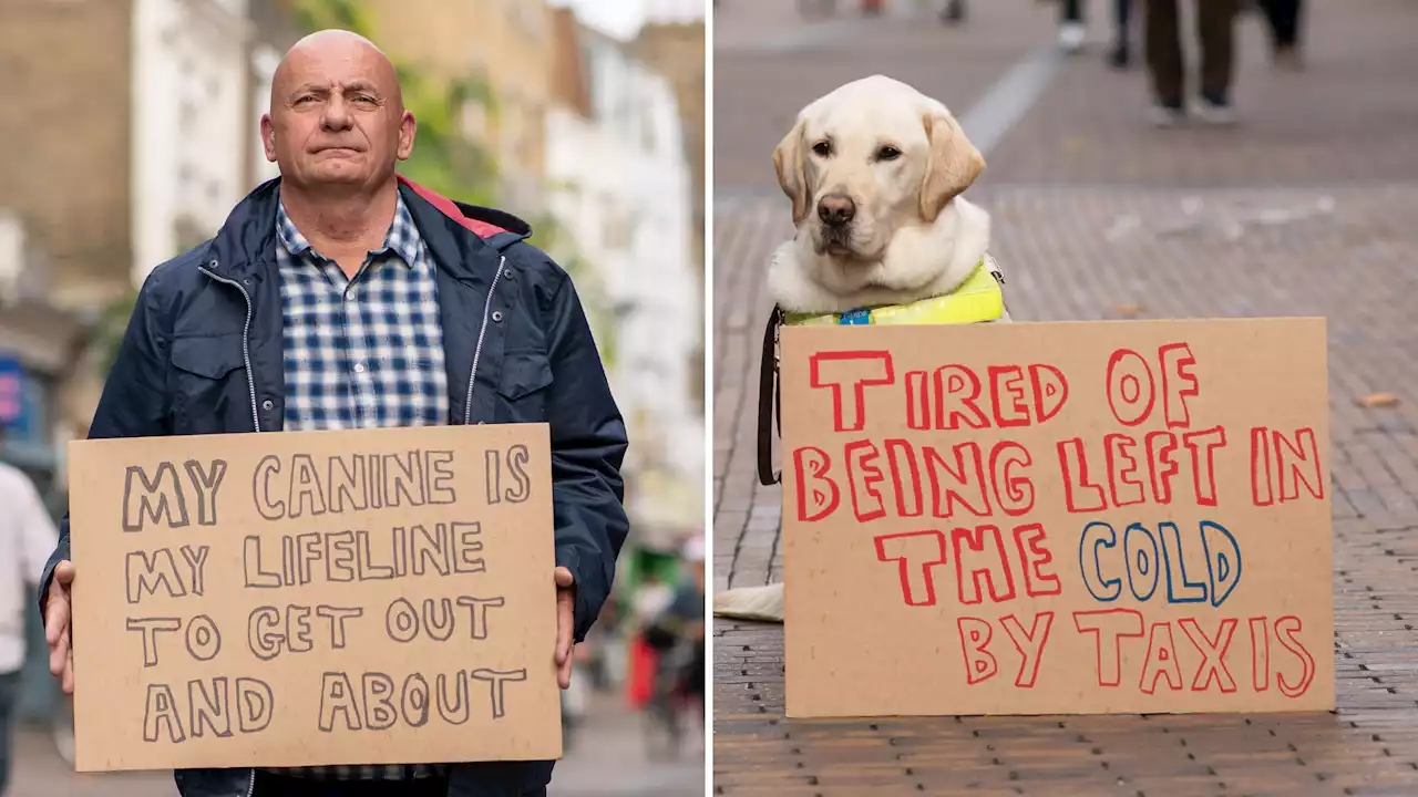 Lincolnshire guide dog owner left stranded after taxi refuses service