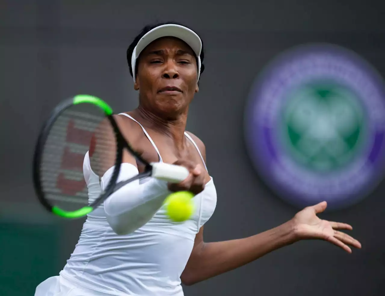 Legendary Venus coming to end of her glorious career