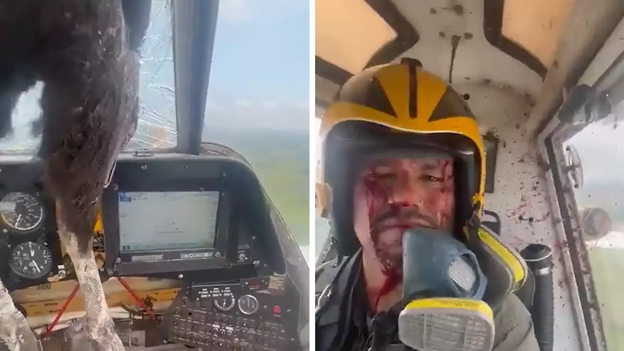 Blood-Covered Pilot Continues Flying Plane After Bird Slams Into Cockpit