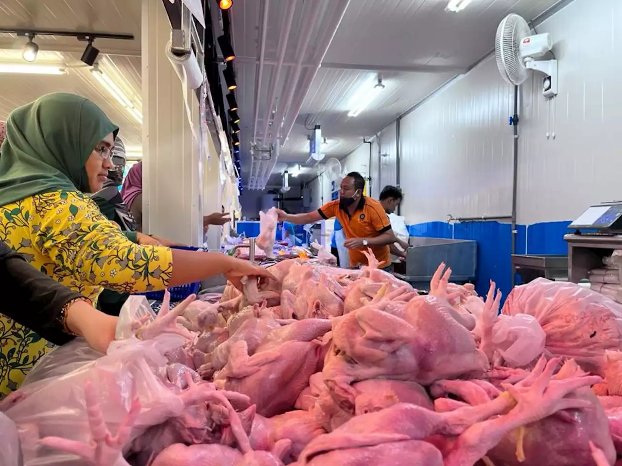 Ayam RM10 seekor di Melaka Agrofest 2023