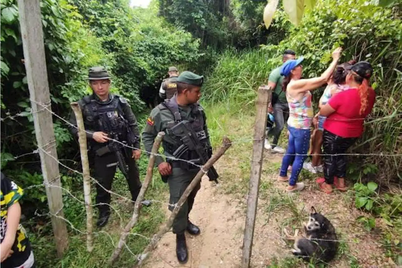 La millonaria multa impuesta al dueño de perros que mataron a un niño en Bucaramanga