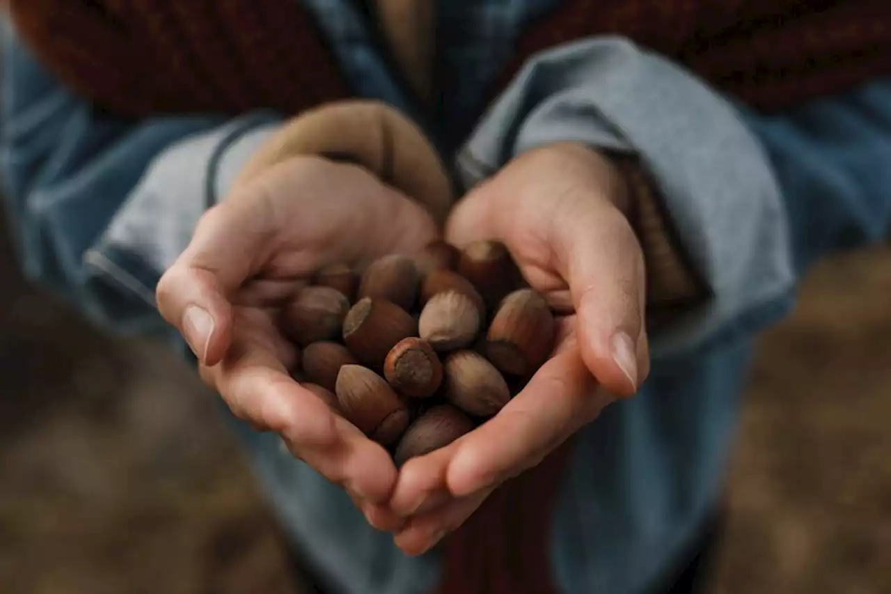 El 'superalimento' que no puede faltar en tu despensa para tener una buena salud