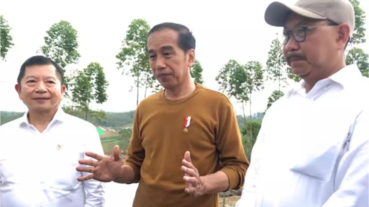 Jokowi soal Pengawas Asing di Proyek IKN: Biar Hasilnya Tidak Kayak SD Inpres