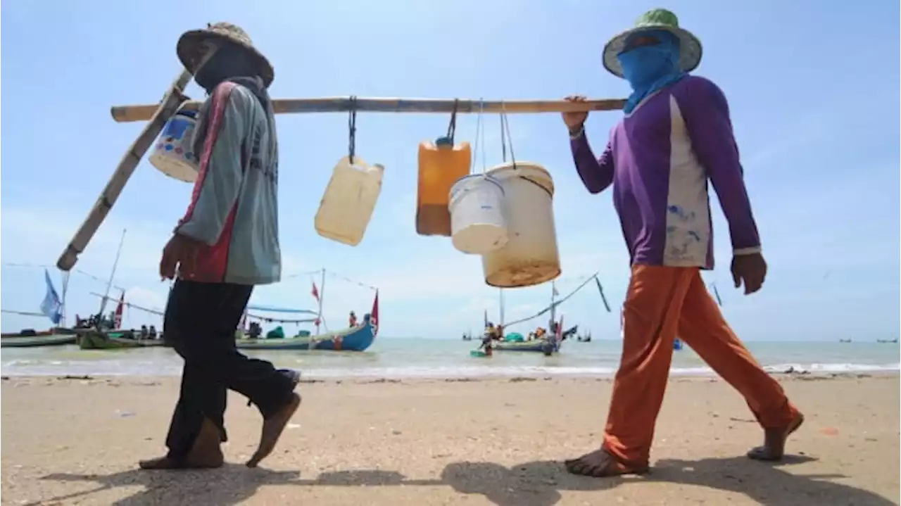 Rangkul UMKM Sektor Pertanian dan Perikanan, PAN Dorong Ekonomi Daerah