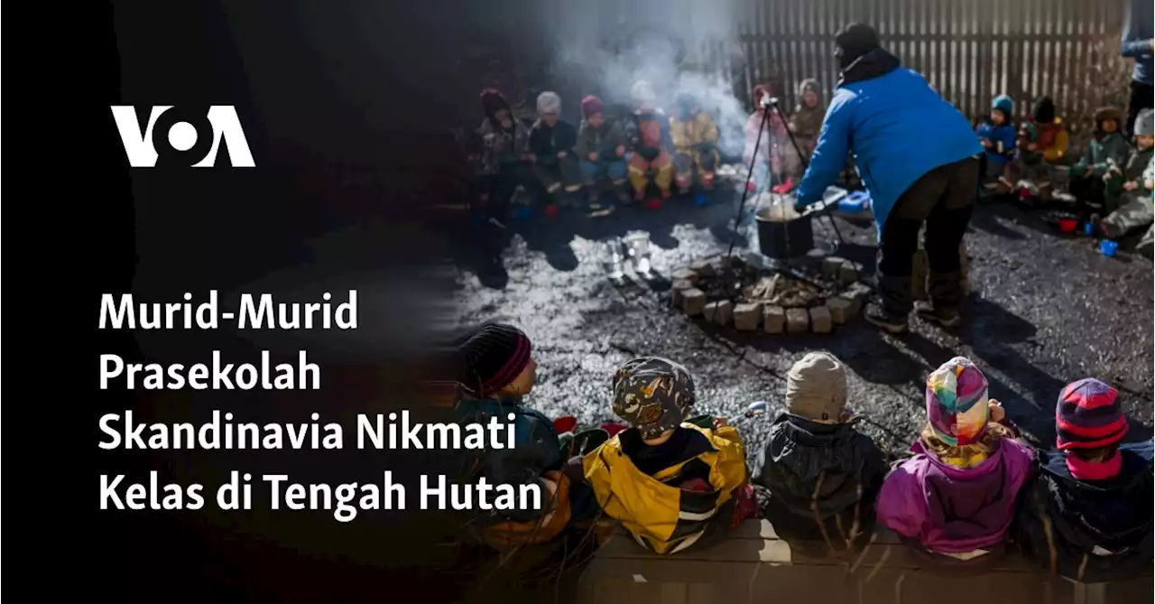 Murid-Murid Prasekolah Skandinavia Nikmati Kelas di Tengah Hutan