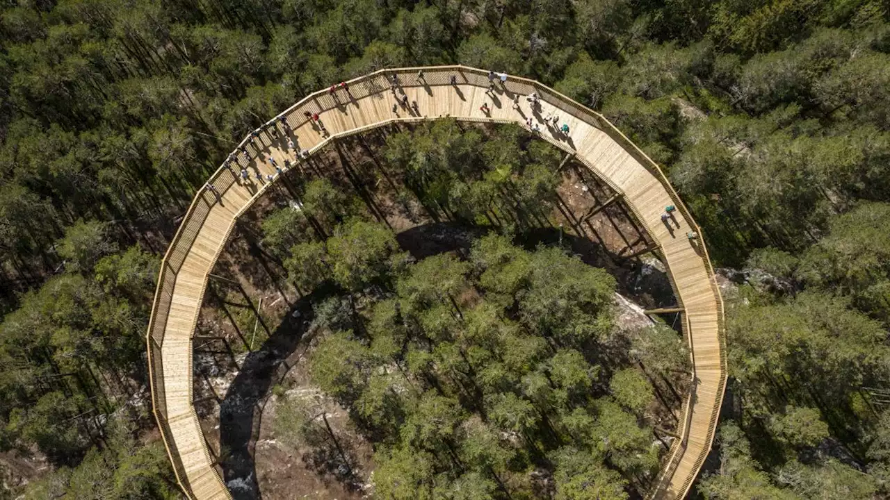 EFEKT’s elevated walkway is a kilometre-long structure above a Norwegian wood