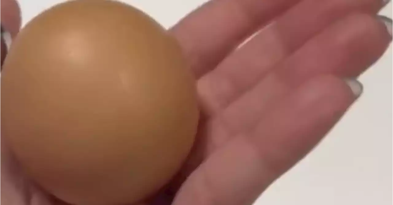 'One-in-a-billion': Perfectly round egg discovered at Aussie supermarket