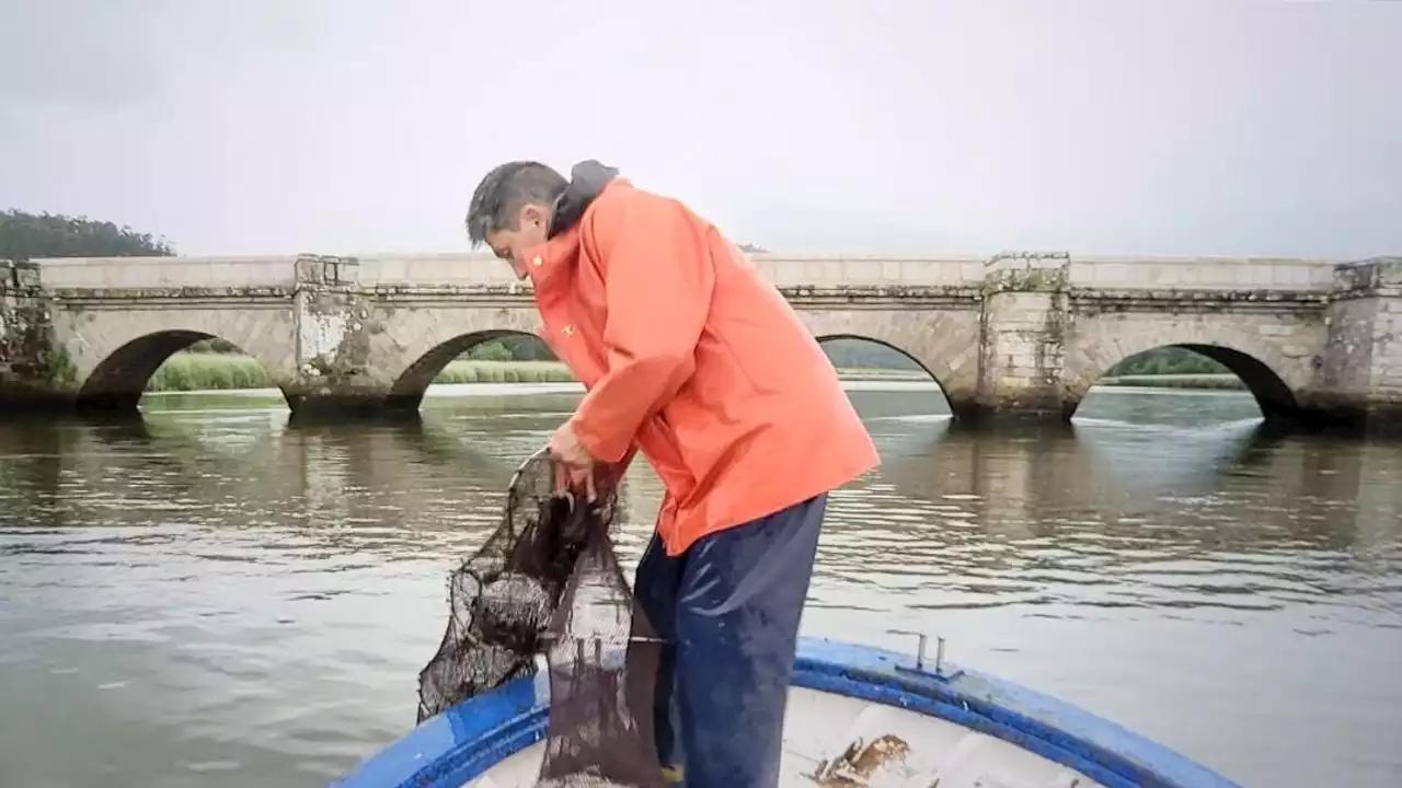 Pescador de anguilas: un oficio en peligro de extinción